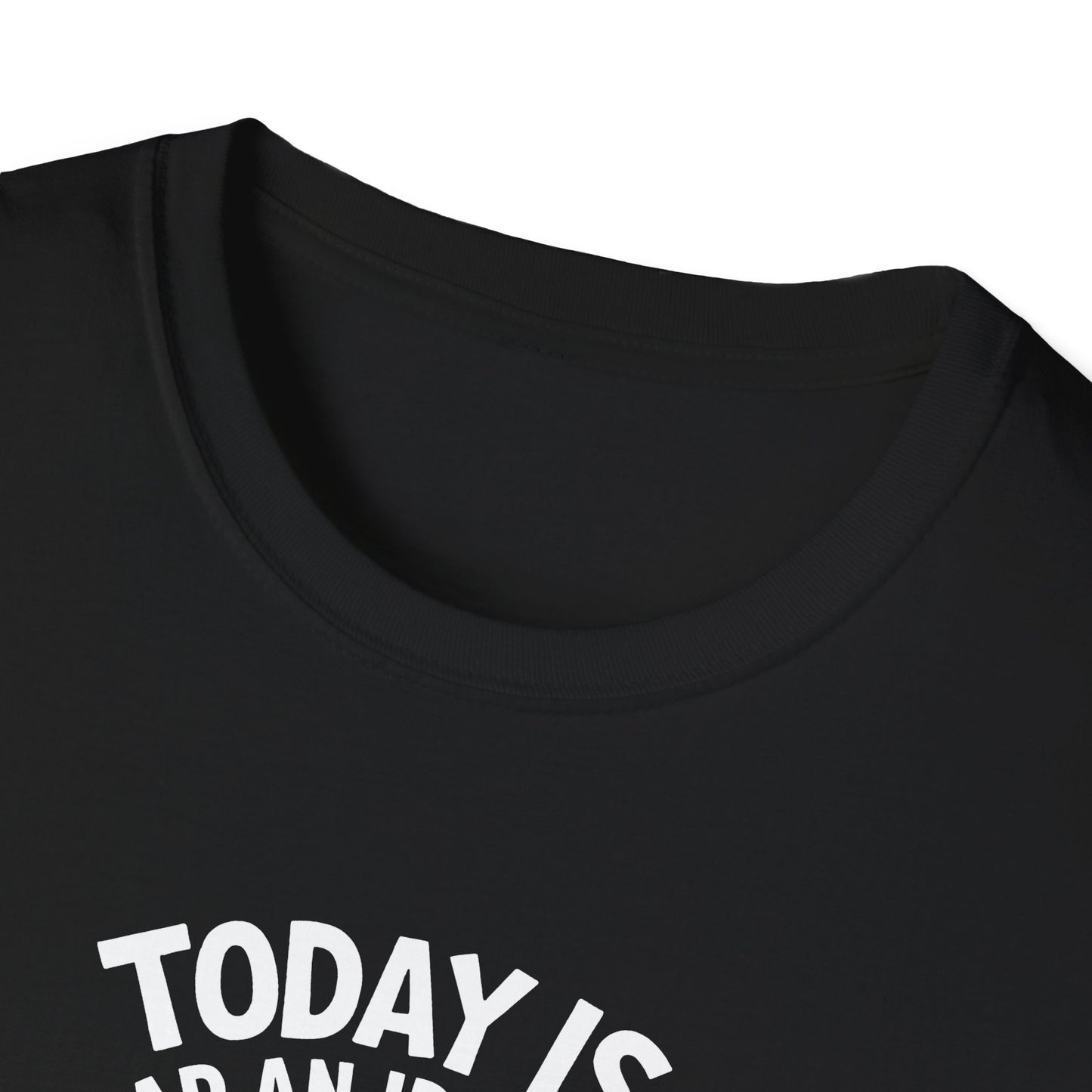 Slap an Idiot Day Unisex Softstyle T-Shirt